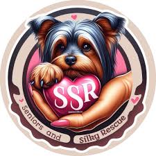 ssrdog加速器官网